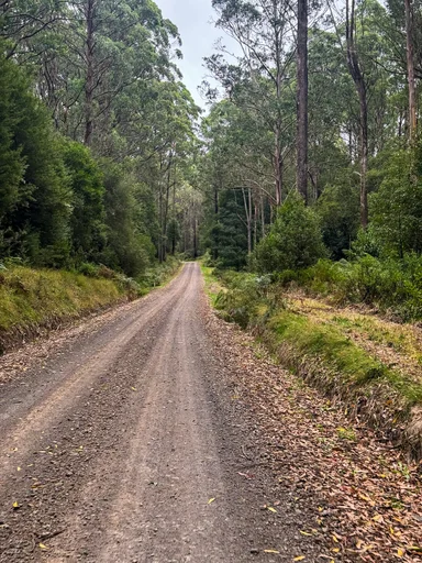 Kaanglang Rd