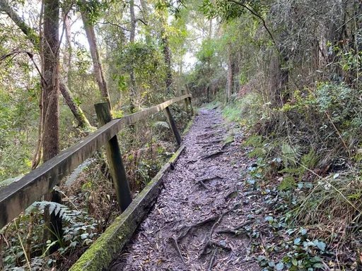Camperdown Rail Trail