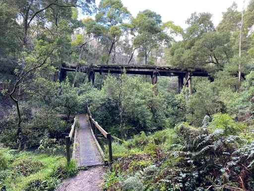 Camperdown Rail Trail