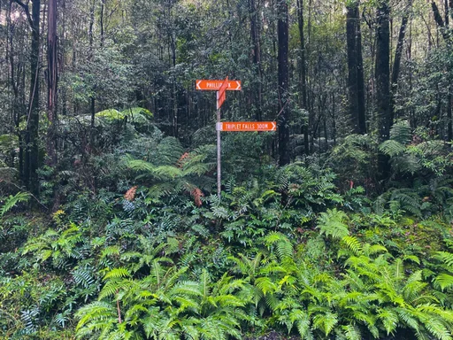 The Otways