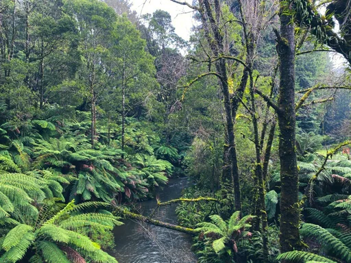 The Otways