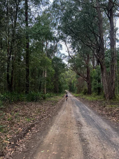 Old Beenak Rd