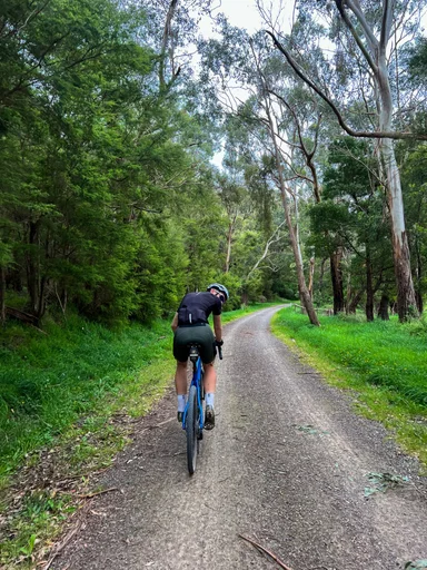 Warby Trail