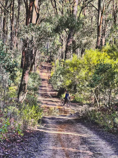 Captains Creek Rd