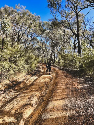 Captains Creek Rd