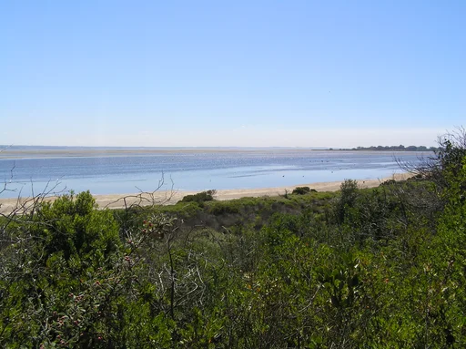 Swan Bay from Queenscliff 002 — Photo: Maias, CC BY-SA 3.0. Source: https://commons.wikimedia.org/wiki/File:Swan_Bay_from_Queenscliff_002.jpg · https://creativecommons.org/licenses/by-sa/3.0