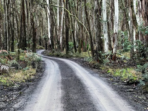 Woodend Gravel Loop — original ride photograph, 2022. Photo: Vince Masci / BikeRoutes. Capture GPS unavailable; gallery only.