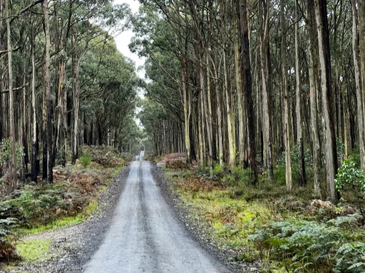 Woodend Gravel Loop — original ride photograph, 2022. Photo: Vince Masci / BikeRoutes. Capture GPS unavailable; gallery only.
