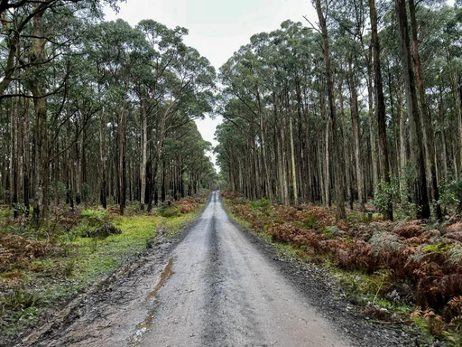 Woodend Gravel Loop — original ride photograph, 2022. Photo: Vince Masci / BikeRoutes. Capture GPS unavailable; gallery only.
