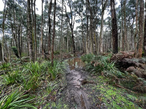 Woodend Gravel Loop — original ride photograph, 2022. Photo: Vince Masci / BikeRoutes. Capture GPS unavailable; gallery only.
