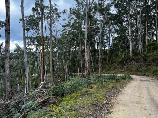Woodend Gravel Loop — original ride photograph, 2022. Photo: Vince Masci / BikeRoutes. Capture GPS unavailable; gallery only.