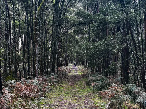 Woodend Gravel Loop — original ride photograph, 2022. Photo: Vince Masci / BikeRoutes. Capture GPS unavailable; gallery only.