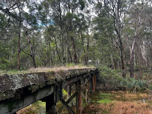 Historic Coliban railway bridge near Lyonville, photographed in 2022. Use the signed bypass, not the unsafe old bridge. Photo: Vince Masci / BikeRoutes. Capture GPS unavailable; gallery only.