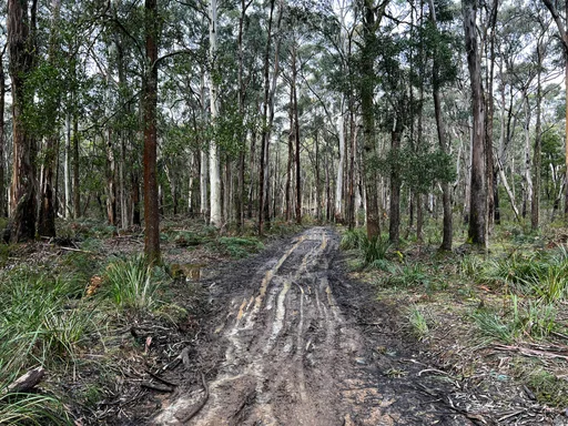 Woodend Gravel Loop — original ride photograph, 2022. Photo: Vince Masci / BikeRoutes. Capture GPS unavailable; gallery only.