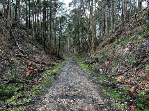 Woodend Gravel Loop — original ride photograph, 2022. Photo: Vince Masci / BikeRoutes. Capture GPS unavailable; gallery only.