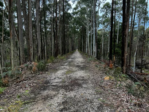 Woodend Gravel Loop — original ride photograph, 2022. Photo: Vince Masci / BikeRoutes. Capture GPS unavailable; gallery only.