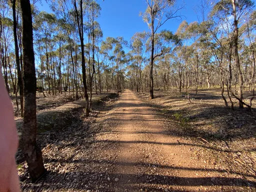 O’Keefe Rail Trail · 16.8 km