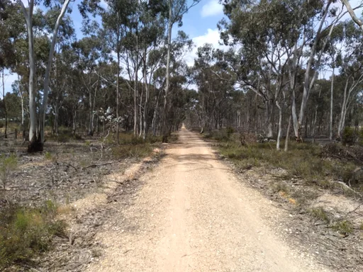 O’Keefe Rail Trail in Junortoun, photographed in 2019. Photo: The Golden Viatori, CC BY-SA 4.0. Source: https://commons.wikimedia.org/wiki/File:O%27Keefe_Rail_Trail_in_Junortoun.jpg · https://creativecommons.org/licenses/by-sa/4.0