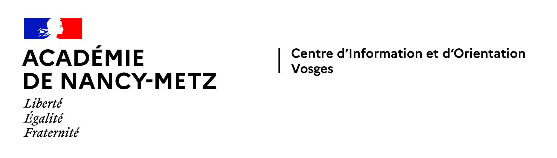 CIO des Vosges
