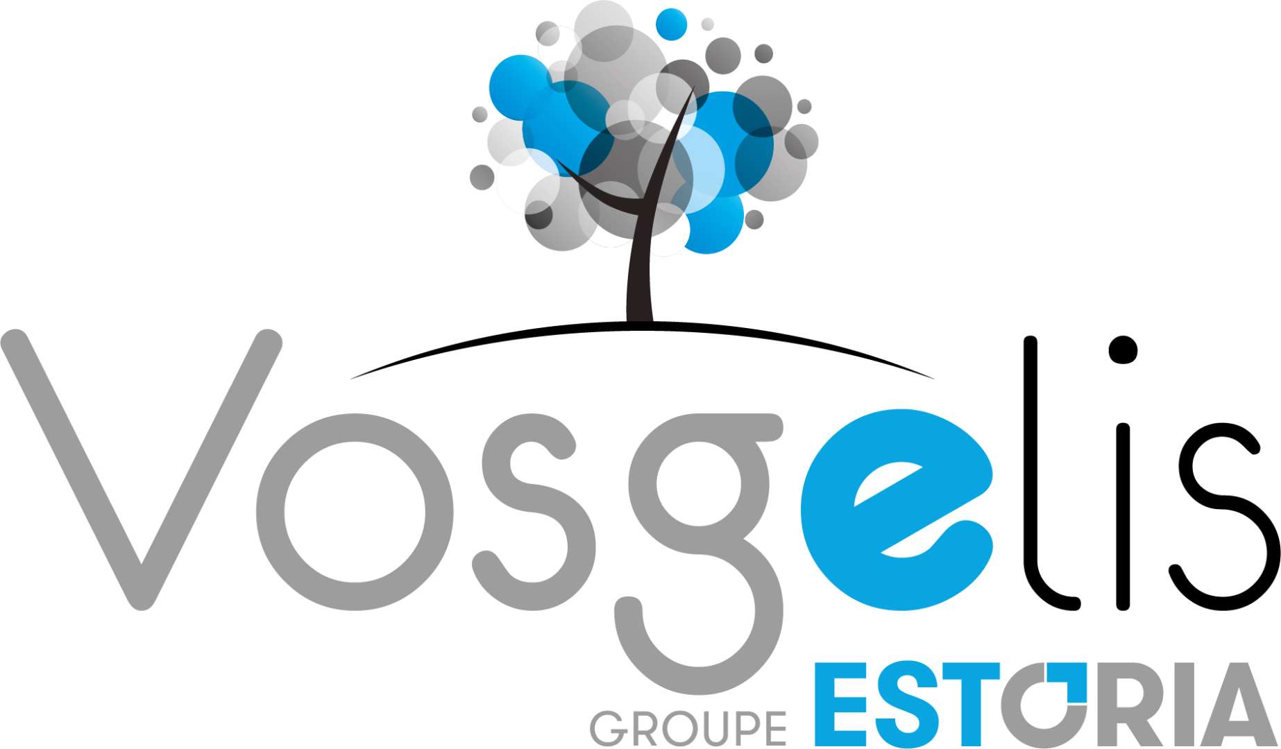 Vosgelis