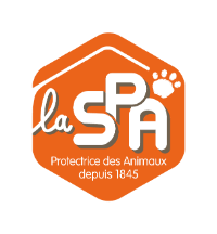 SPA chat