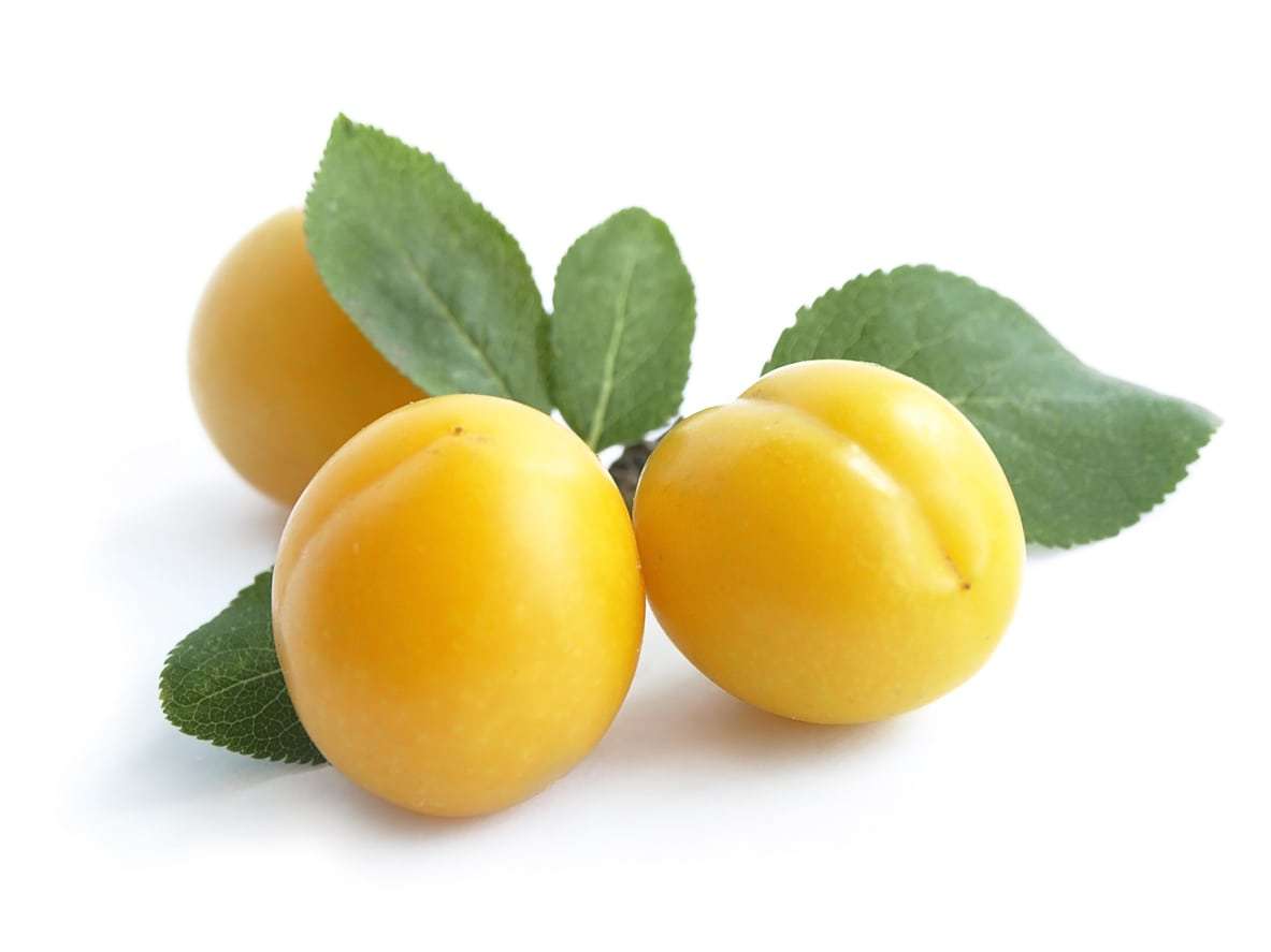 Mirabelle la Belle