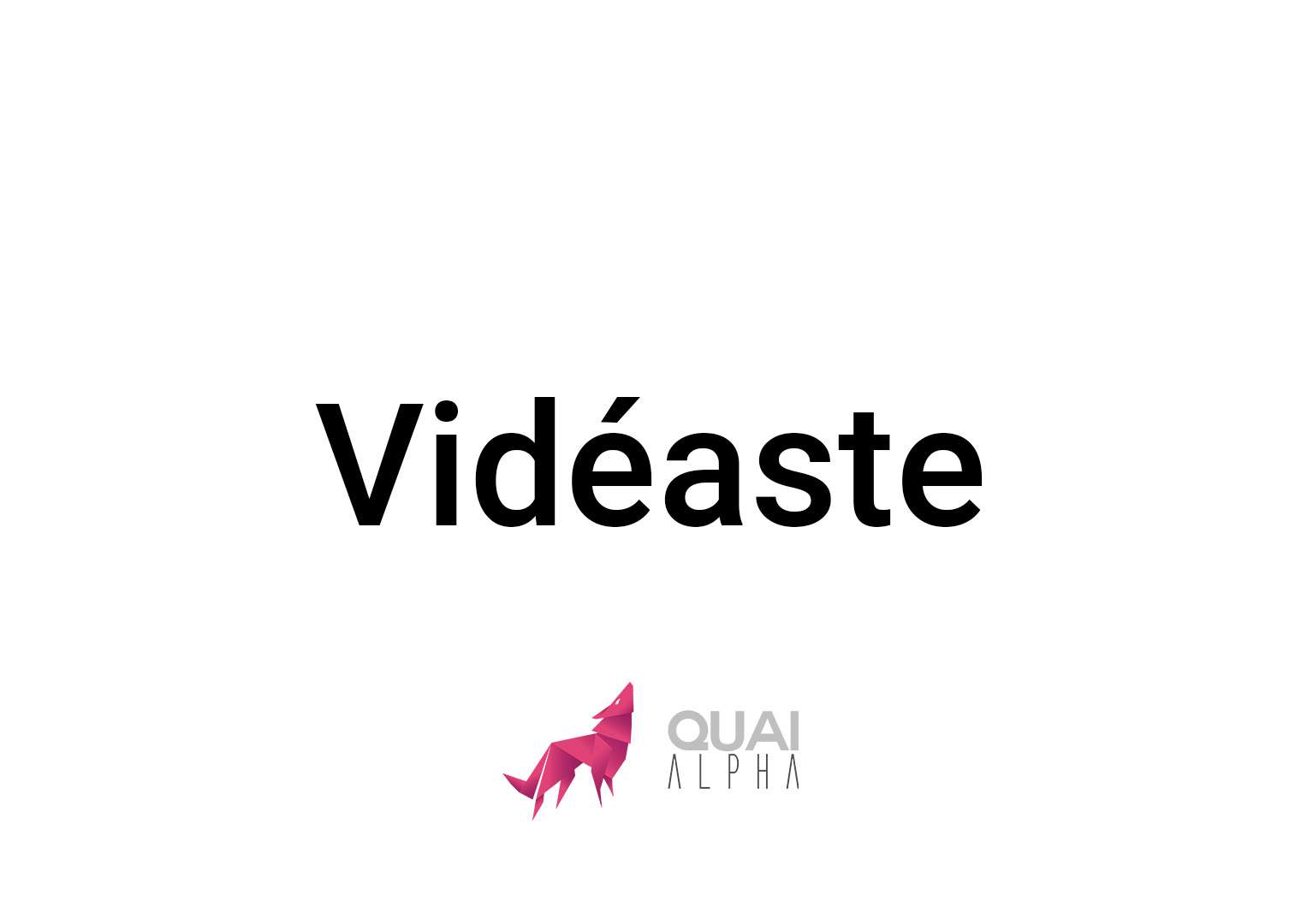 Vidéaste