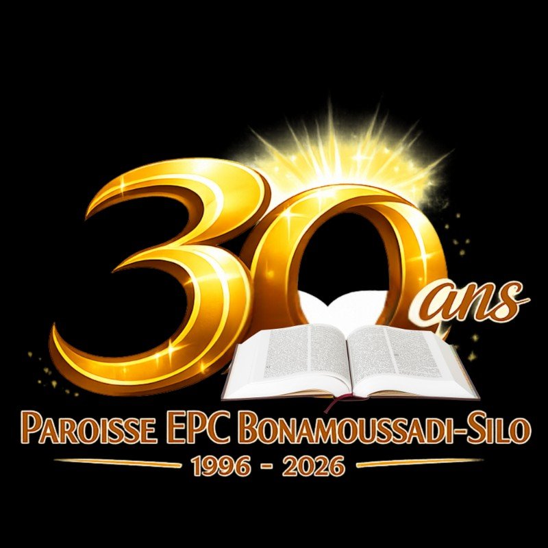 Village Virtuel des Partenaires – 30 ans Bonamoussadi-Silo