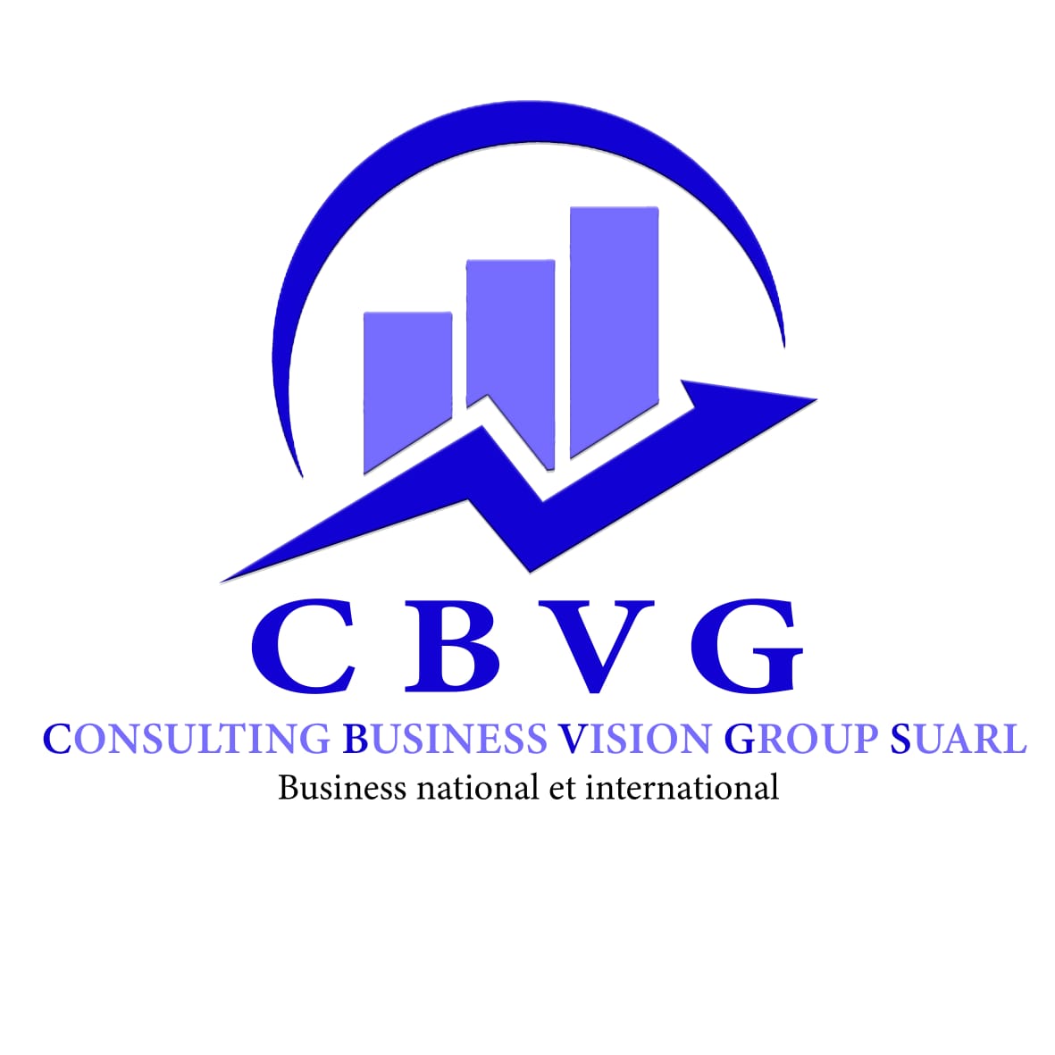 CONSULTING BUSINESS VISION GROUP (CBVG)