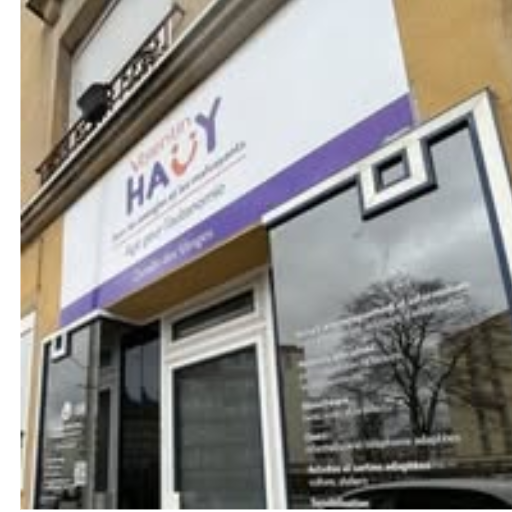 Comité Association Valentin Haüy - AVH Vosges