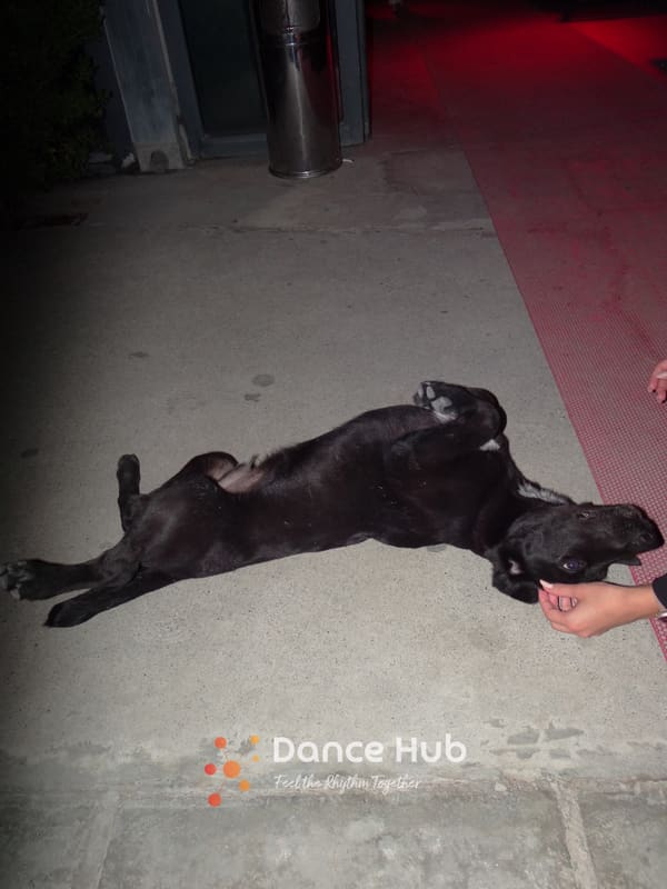DANCEHUB-005922.jpg
