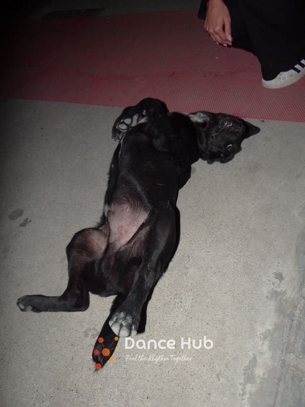 DANCEHUB-005923.jpg