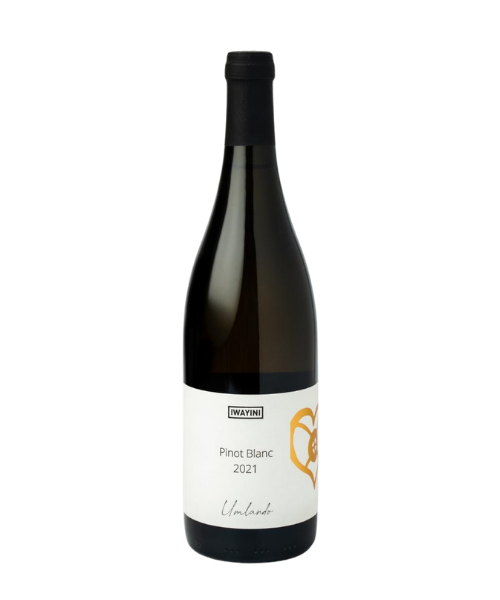 Pinot Blanc 2021