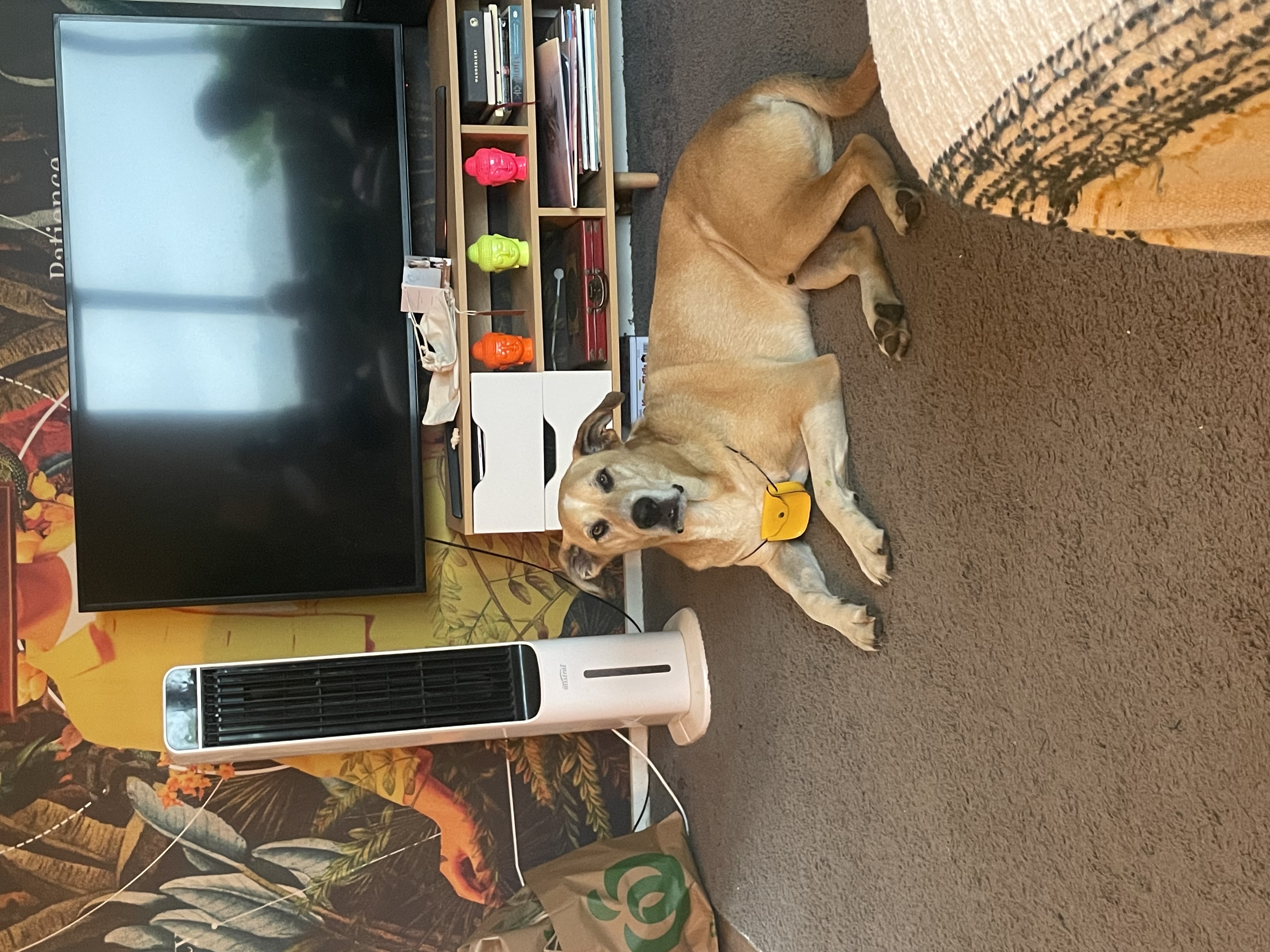 Mac