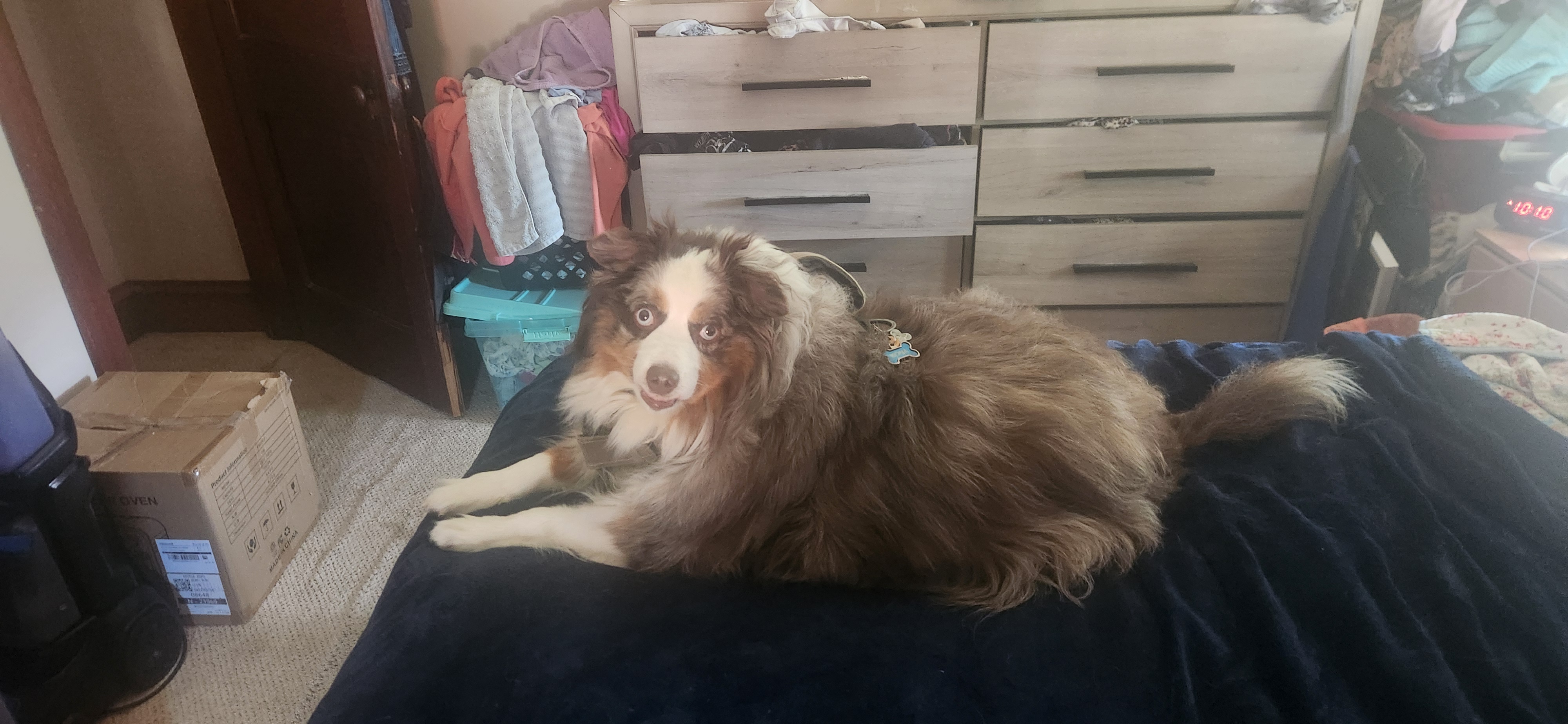 Kona