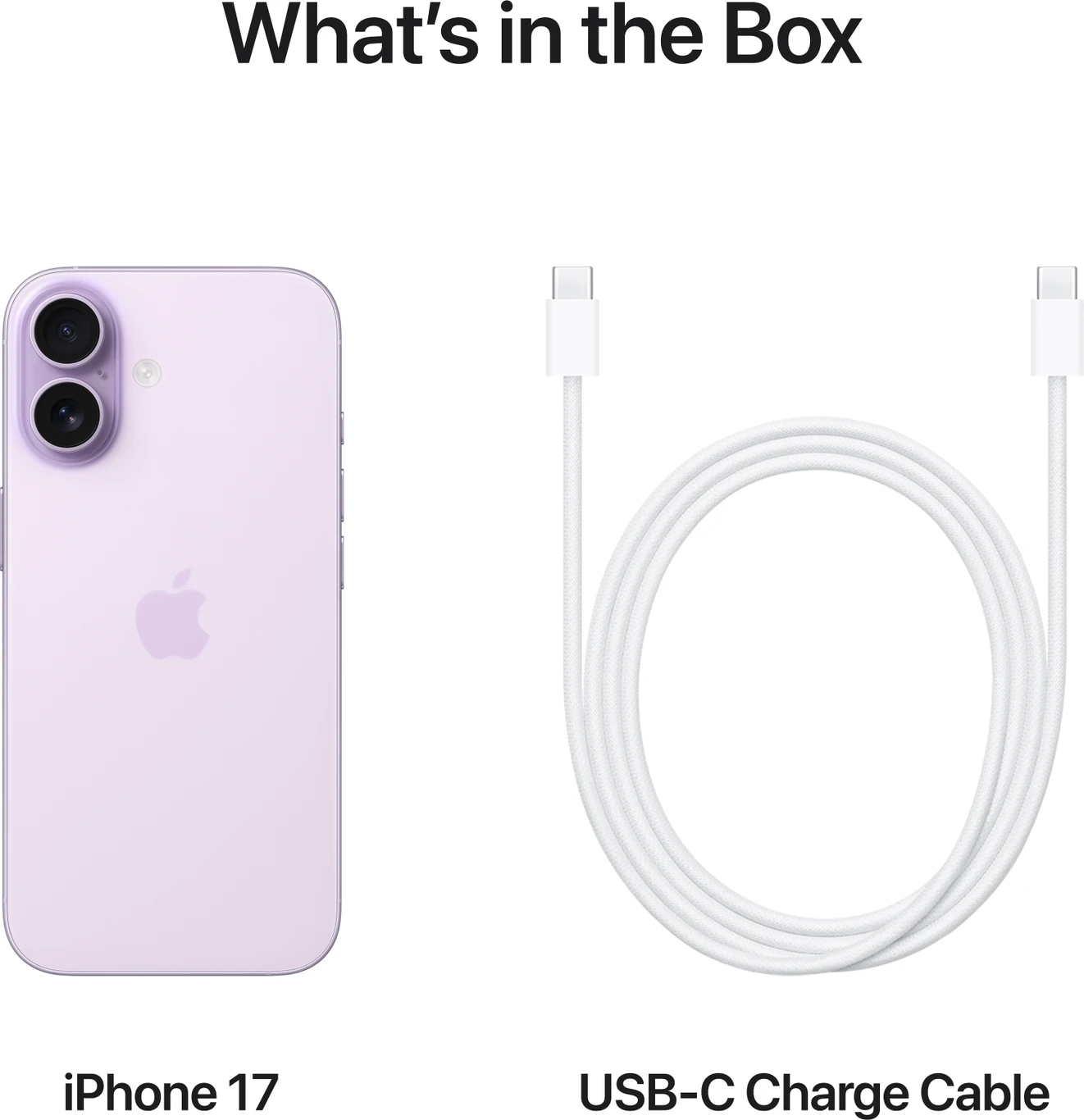 Apple iPhone 17 - Image 16