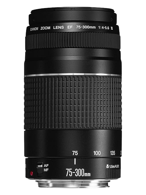 Canon RF 75-300mm f/4-5.6