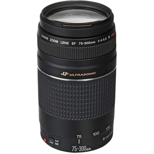 Canon RF 75-300mm f/4-5.6 - Image 2