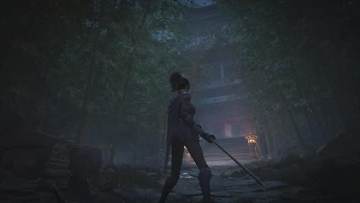 Wuchang Fallen Feathers - Image 2