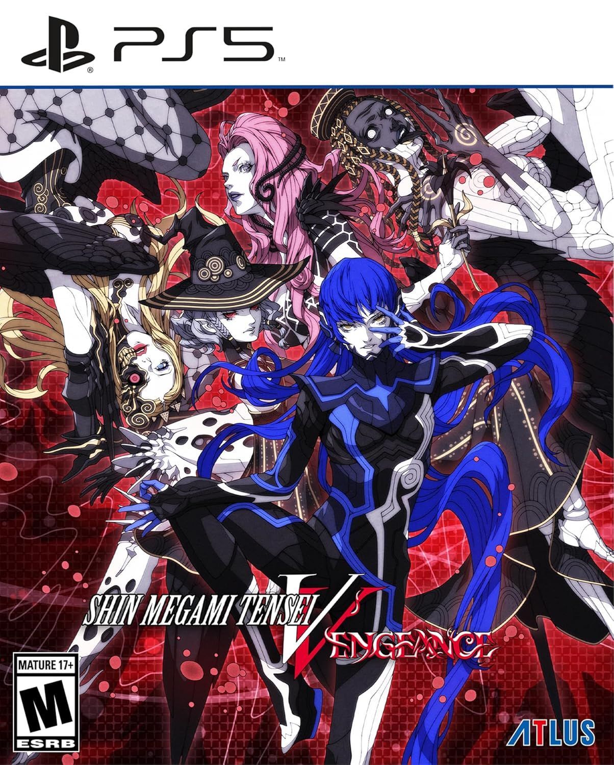 Shin Megami Tensei V Vengeance - Image 1