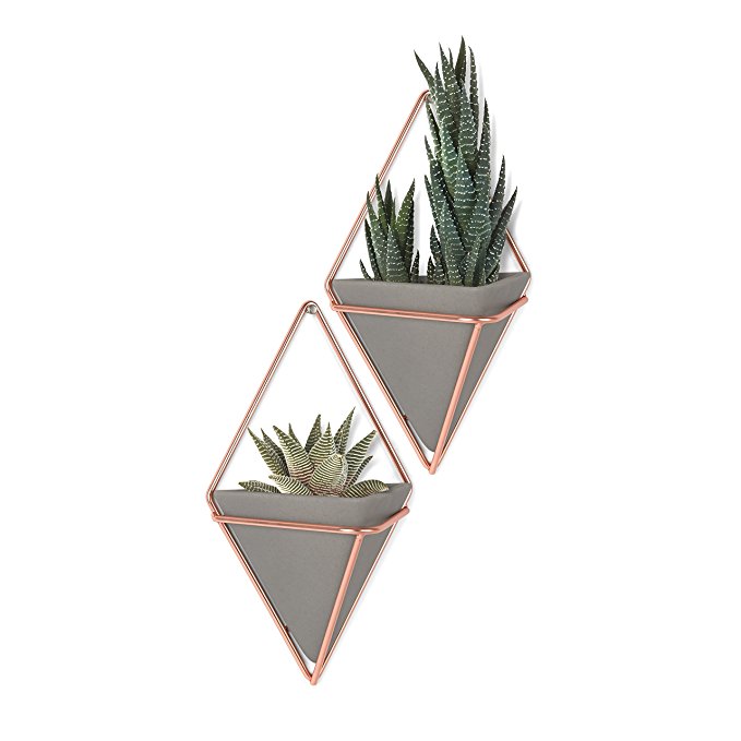 Soporte Grande de Pared 