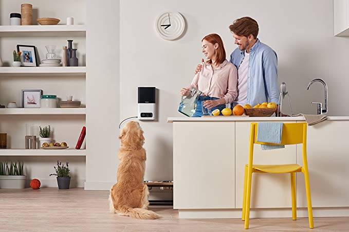 Bites Cámara Wi-Fi para Mascotas con dispensador de Galletas