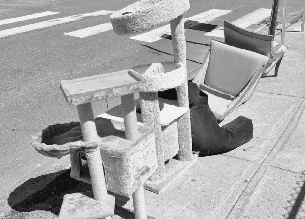 A cat tree, office chair, and beanbag abandoned at a crosswalk