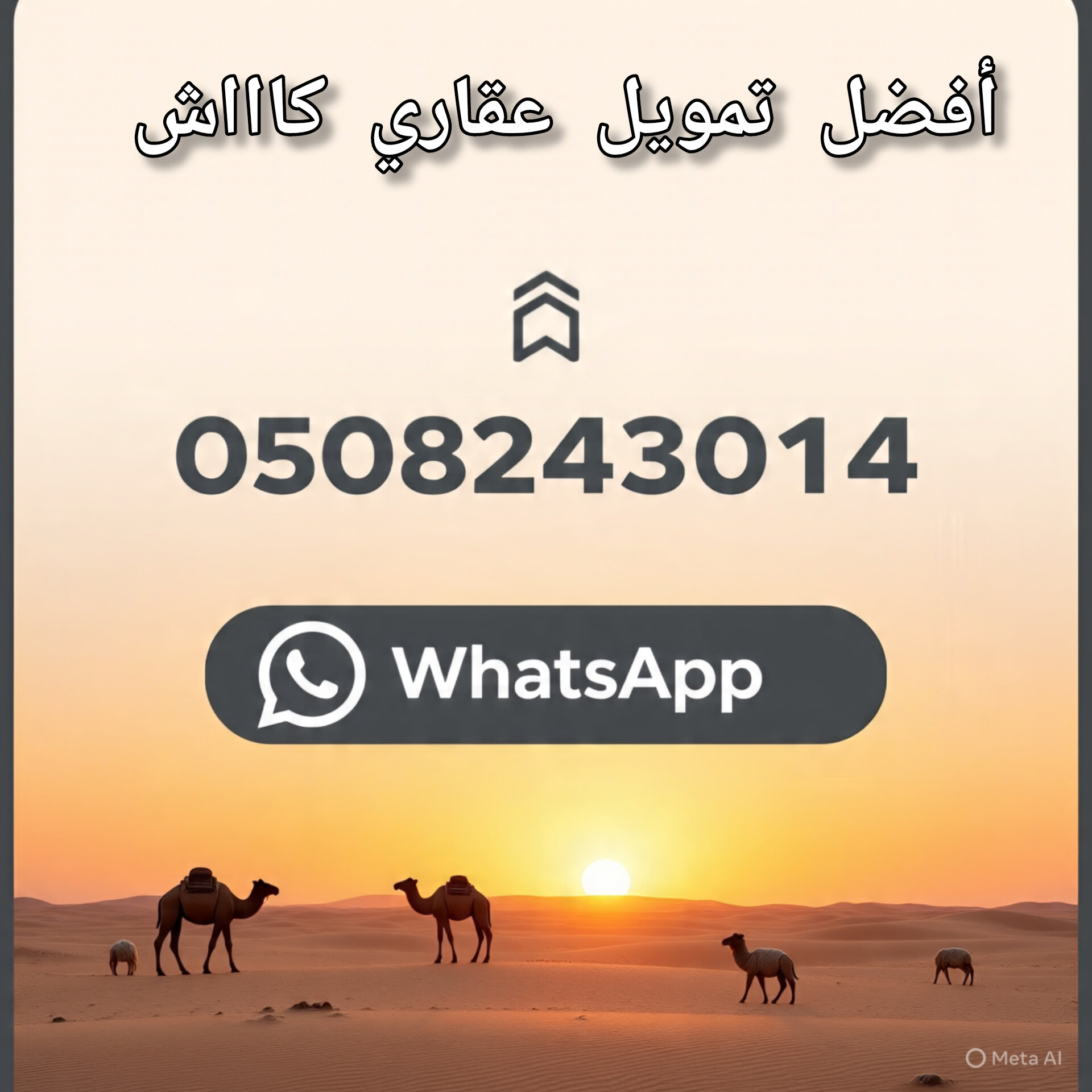 InShot_٢٠٢٥٠٨٠٨_٠٣٣٩٠١٩٧٠.jpg