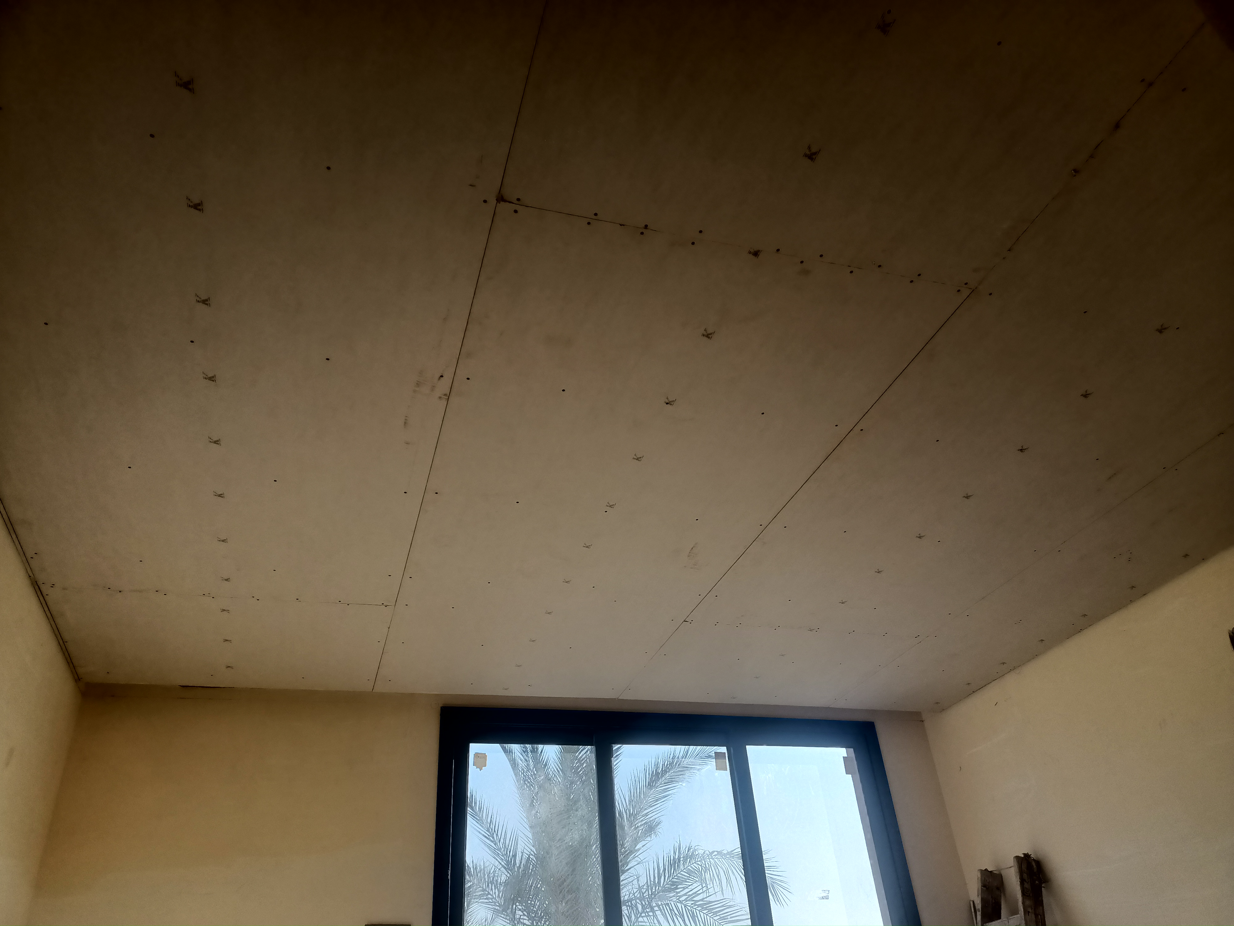 IMG20250227154209.jpg