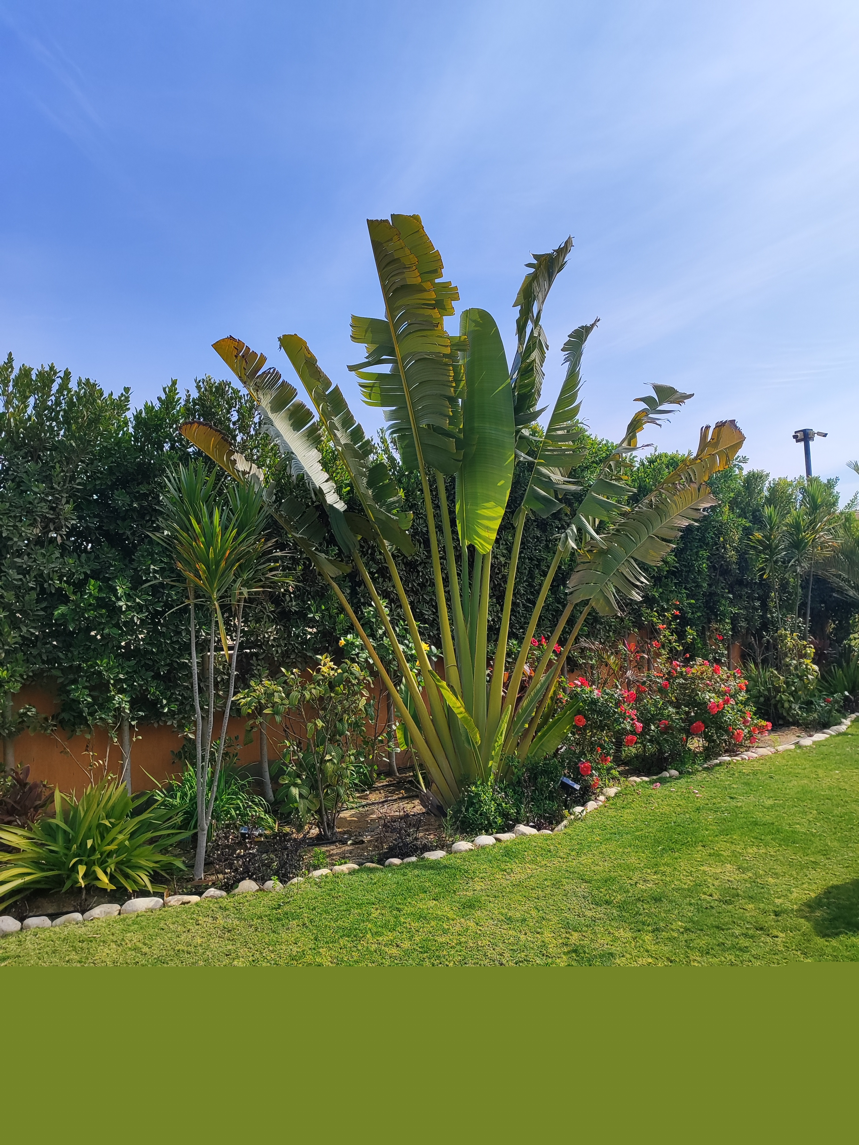 توريدات زراعه