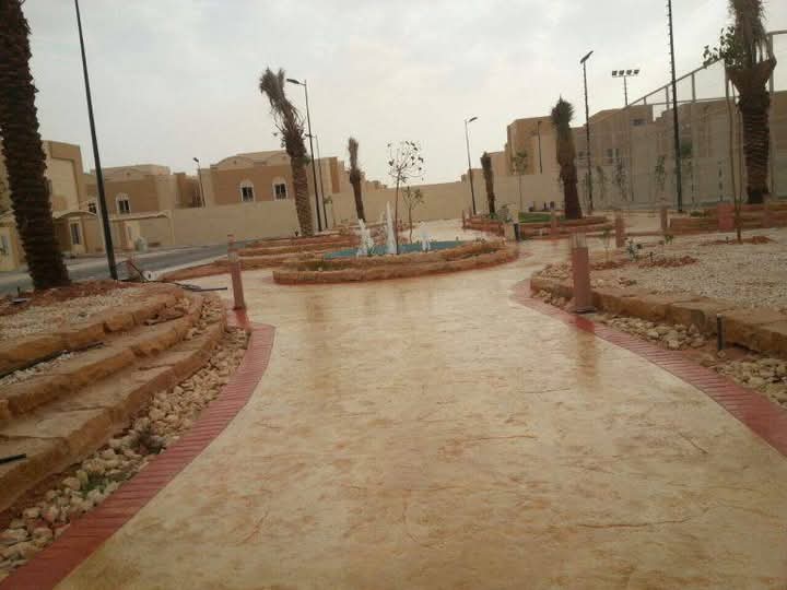 احتشام الحق 