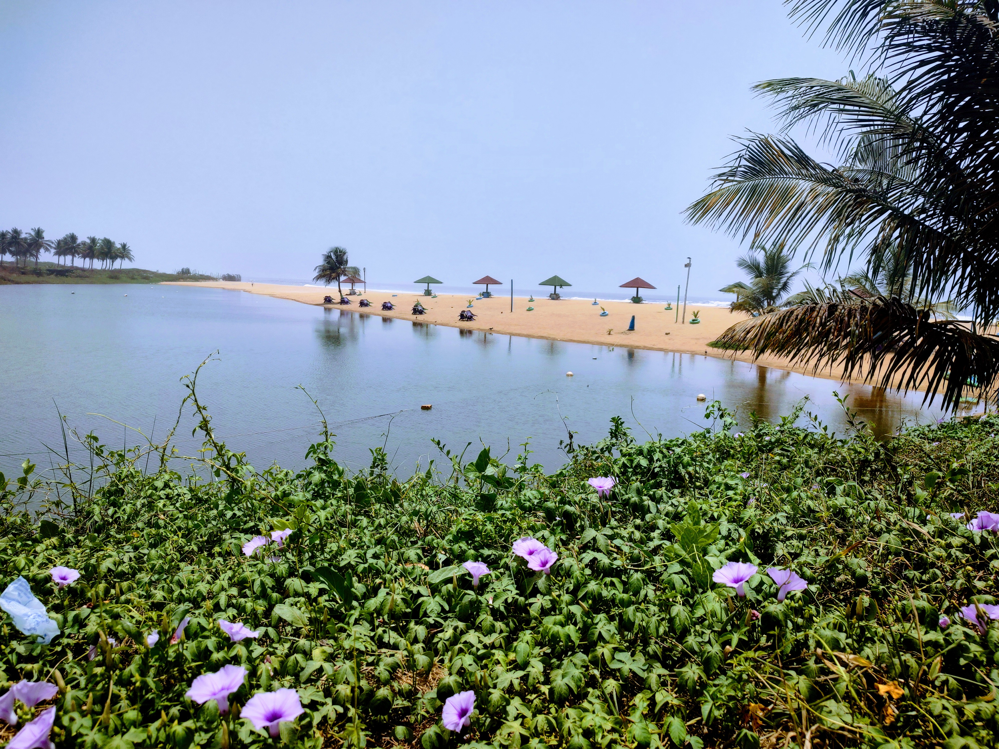 Bamboo Beach