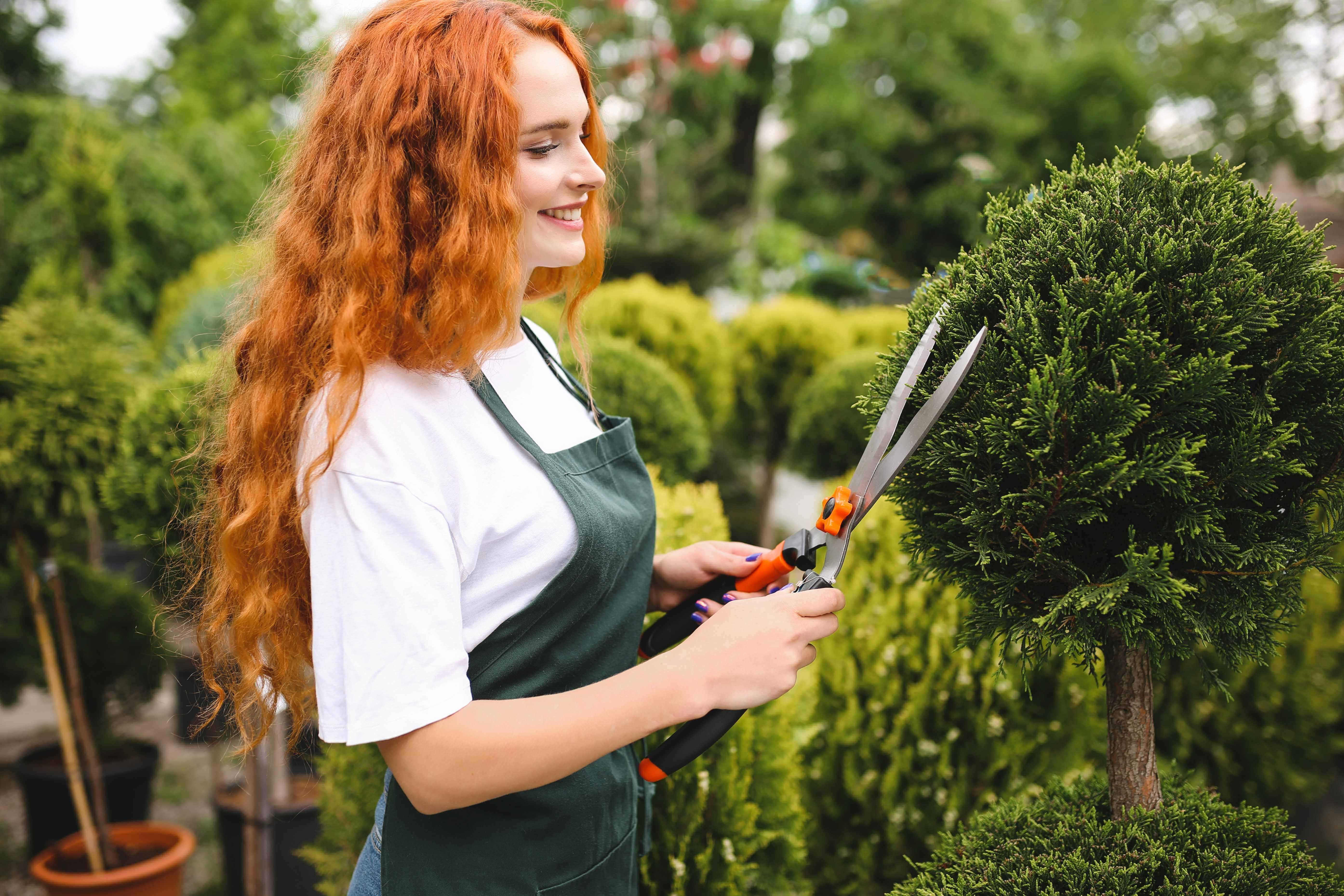 Astrology and Gardening: Planting by the Stars
