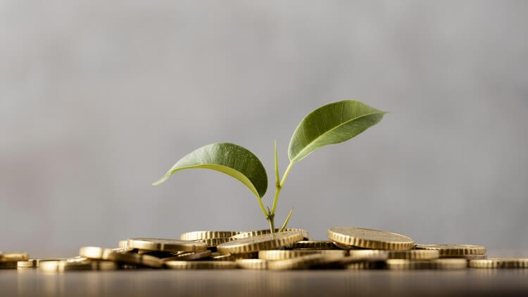 The Astrology of Finance: Wealth and Abundance in Your Chart